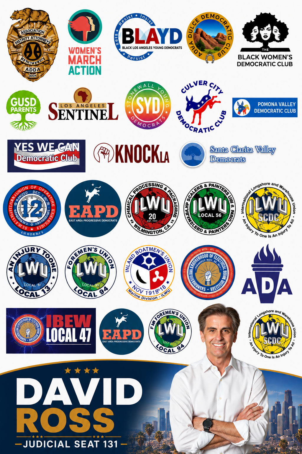 David Ross for Los Angeles Superior Court Judge Office Number 131